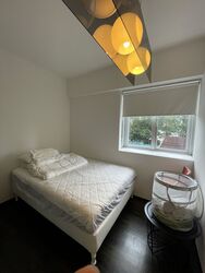 The Levelz (D10), Condominium #390378151